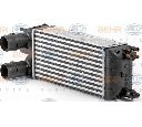 Intercooler, compresor HELLA 8ML 376 700-081