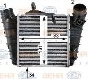 Intercooler, compresor HELLA 8ML 376 700-101