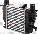 Intercooler, compresor HELLA 8ML 376 700-131