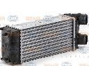 Intercooler, compresor HELLA 8ML 376 700-511