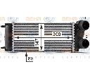 Intercooler, compresor HELLA 8ML 376 700-514