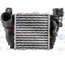 Intercooler, compresor HELLA 8ML 376 700-701