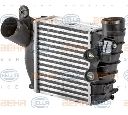 Intercooler, compresor HELLA 8ML 376 700-701