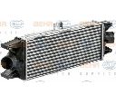 Intercooler, compresor HELLA 8ML 376 900-444