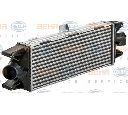 Intercooler, compresor HELLA 8ML 376 900-451