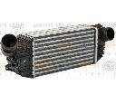 Intercooler, compresor HELLA 8ML 376 910-311