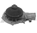 Pompa apa AIRTEX 1168</br>Piesa auto pentru Pompa apa/ Garnitura