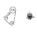 Set pompa apa + curea dintata AIRTEX WPK-121202</br>Piesa auto pentru Curea distributie/ Set