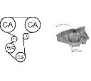 Set pompa apa + curea dintata AIRTEX WPK-156402</br>Piesa auto pentru Curea distributie/ Set