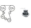 Set pompa apa + curea dintata AIRTEX WPK-167602</br>Piesa auto pentru Curea distributie/ Set