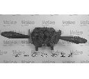 Comutator coloana directie VALEO 251377