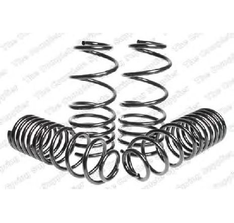 Set suspensie, arcuri elicoidale LESJÖFORS 4595009</br>Piesa auto pentru Suspensie Set suspensie, arcuri elicoidale LESJÖFORS 4595009</br>Piesa auto pentru Suspensie