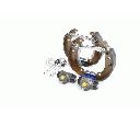 Set saboti frana BOSCH 0 204 114 127