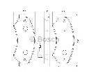 Set placute frana,frana disc BOSCH 0 986 494 109