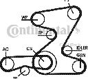 Set curea transmisie cu caneluri CONTITECH 5PK2030D1