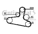 Set curea transmisie cu caneluri CONTITECH 6DPK1195D2