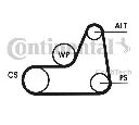 Curea transmisie cu caneluri CONTITECH 6PK1042 ELAST