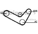 Set curea transmisie cu caneluri CONTITECH 6PK1050D2