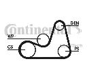 Set curea transmisie cu caneluri CONTITECH 6PK1138D2