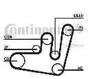 Set curea transmisie cu caneluri CONTITECH 6PK1660D2</br>Piesa auto pentru Curea distributie