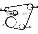 Set curea transmisie cu caneluri CONTITECH 6PK1767D1