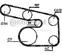 Set curea transmisie cu caneluri CONTITECH 6PK1863D1</br>Piesa auto pentru Curea distributie