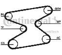 Set curea transmisie cu caneluri CONTITECH 6PK1870D2</br>Piesa auto pentru Curea distributie