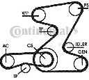 Set curea transmisie cu caneluri CONTITECH 6PK2090D1