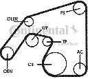 Set curea transmisie cu caneluri CONTITECH 6PK2271D2