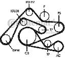 Set curea transmisie cu caneluri CONTITECH 6PK2404D1</br>Piesa auto pentru Curea distributie
