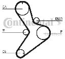 Curea de distributie CONTITECH CT1038