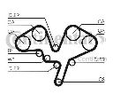 Set curea de distributie CONTITECH CT1052K1