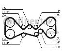 Set curea de distributie CONTITECH CT1058K2