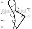 Set curea de distributie CONTITECH CT1088K3