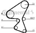 Set curea de distributie CONTITECH CT1092K1