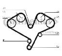 Curea de distributie CONTITECH CT1113