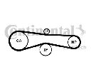 Curea de distributie CONTITECH CT1131