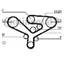 Curea de distributie CONTITECH CT1135