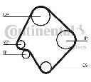 Curea de distributie CONTITECH CT532