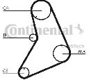 Curea de distributie CONTITECH CT687
