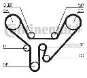 Curea de distributie CONTITECH CT727
