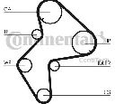 Curea de distributie CONTITECH CT772