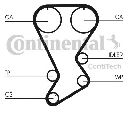 Curea de distributie CONTITECH CT812