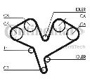 Set curea de distributie CONTITECH CT884K1