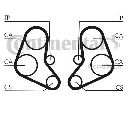 Curea de distributie CONTITECH CT886