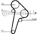 Curea de distributie CONTITECH CT891