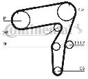 Curea de distributie CONTITECH CT918