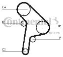Curea de distributie CONTITECH CT951