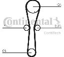 Curea de distributie CONTITECH CT954