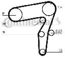 Set curea de distributie CONTITECH CT995K2